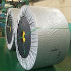 kopen NN300 Vlamvertragend transportband 13 mm dikte online manufacture