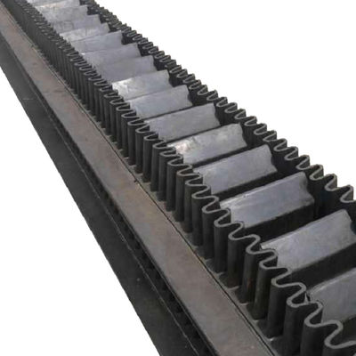 kopen 2-10 de Transportband van de lagens80 S100 S120 S160 Schort online manufacture