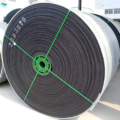 EP100 EP200 Speciale transportbanden Chemisch bestendig B700mm