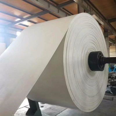 De witte 3-12 RubberTransportband van Lagennn EP voor Metallurgie