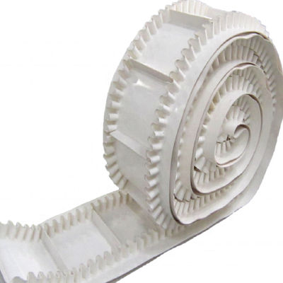 Witte de RokTransportband van EP ST630 ST800 ST1000