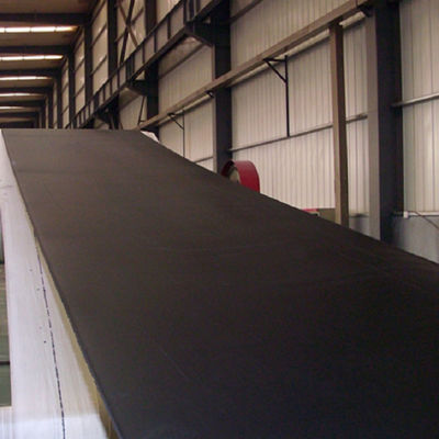 ST1000 speciale Transportbanden Bestand Op hoge temperatuur